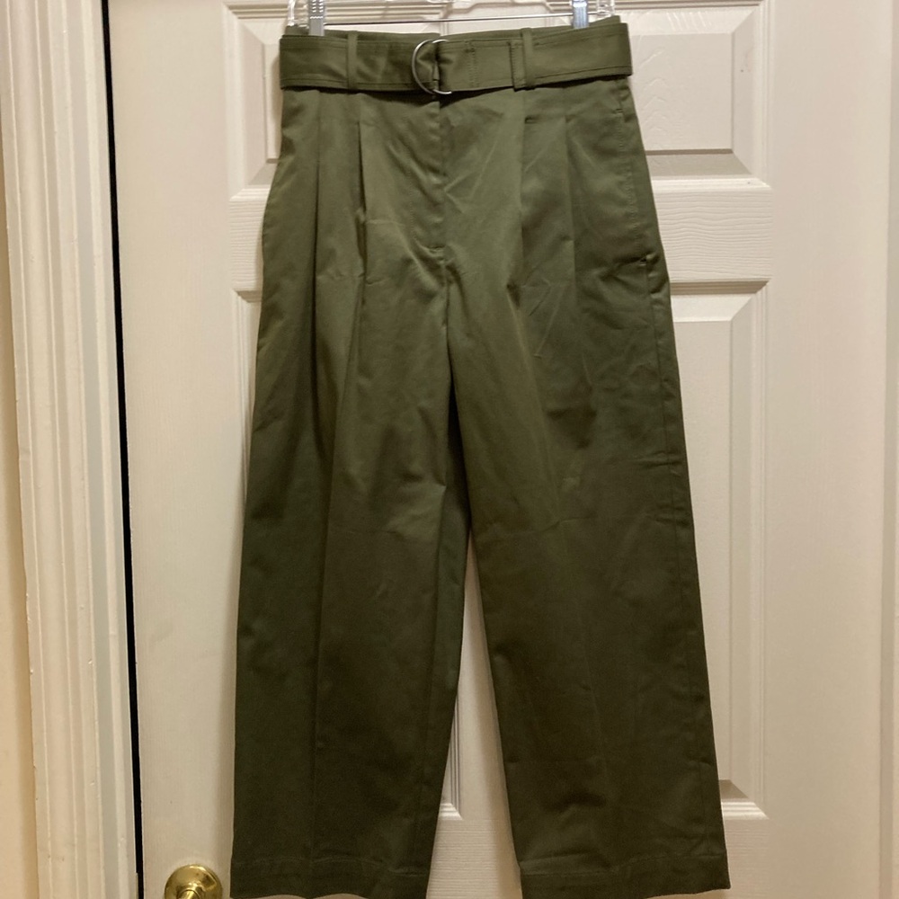 NWOT Banana Republic Cruz Pleated Wide-Leg Chino in Spiced Green Olive - Size 4P